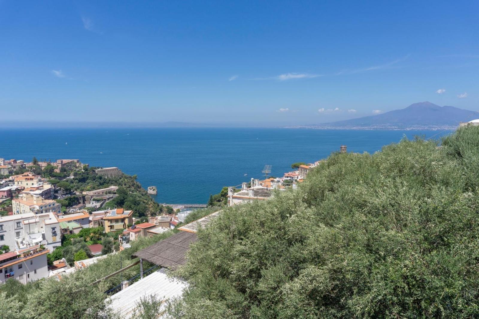 Appartamento In Villa Ariel Vico Equense Dış mekan fotoğraf